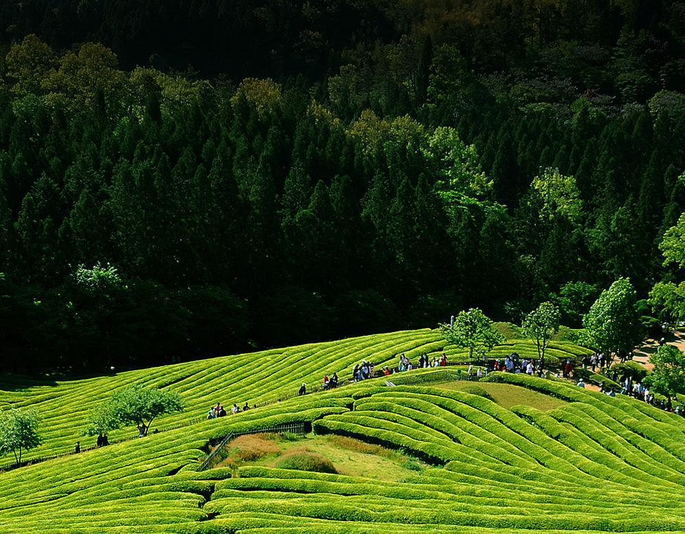 메인 비쥬얼 이미지