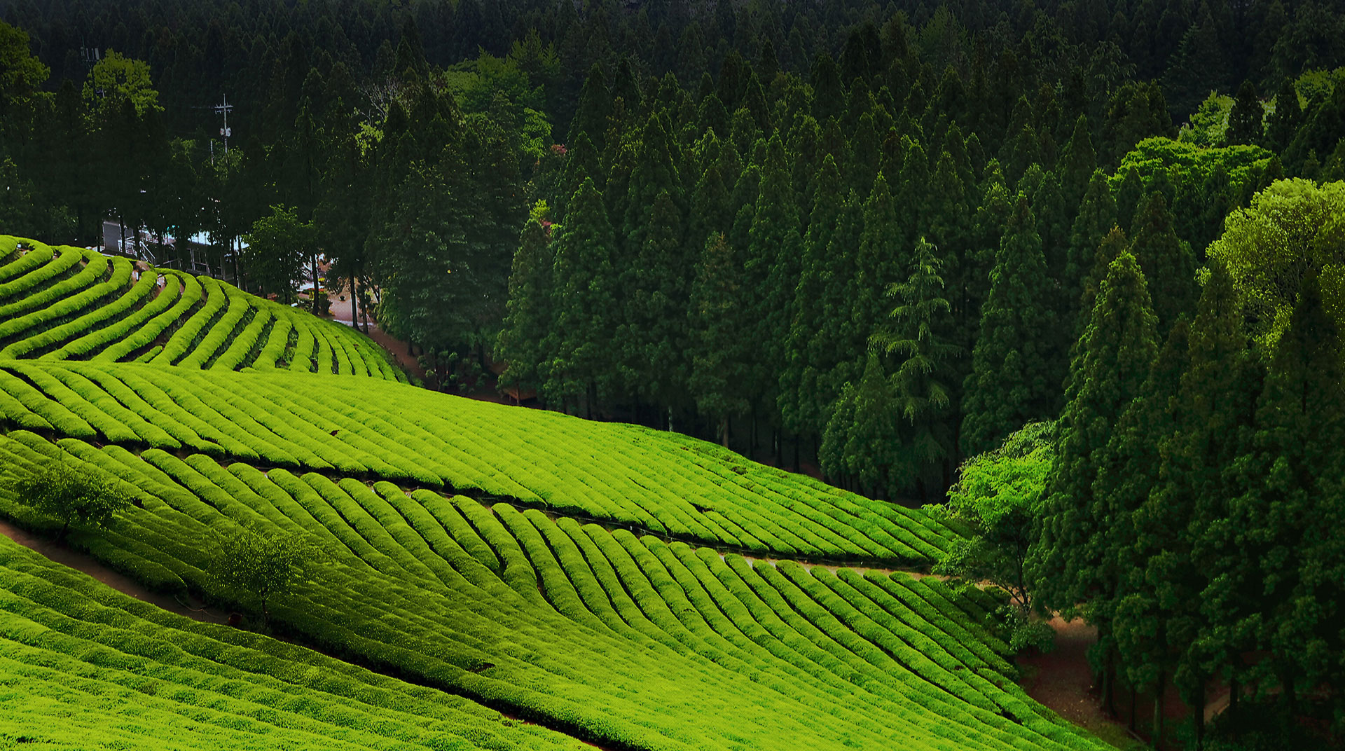 메인 비쥬얼 이미지