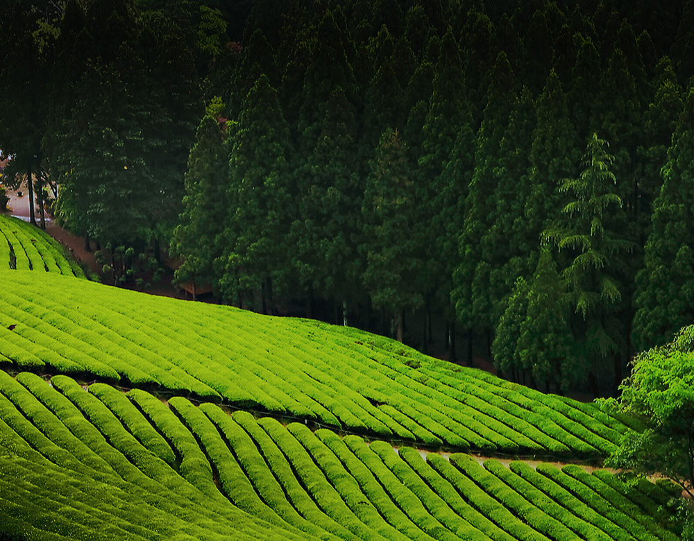 메인 비쥬얼 이미지